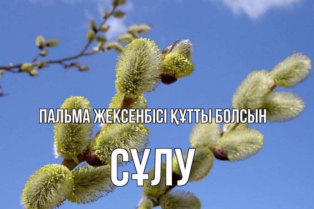 Күн сайын ашық хат с именем, СҰЛУ Пальма жексенбісі құтты болсын верба Онлайн тегін жүктеп алу тілектері бар керемет карта 