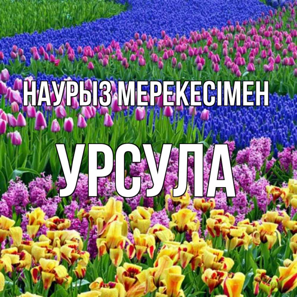 Күн сайын ашық хат с именем, Урсула Наурыз мерекесімен цветы Онлайн тегін жүктеп алу тілектері бар керемет карта 