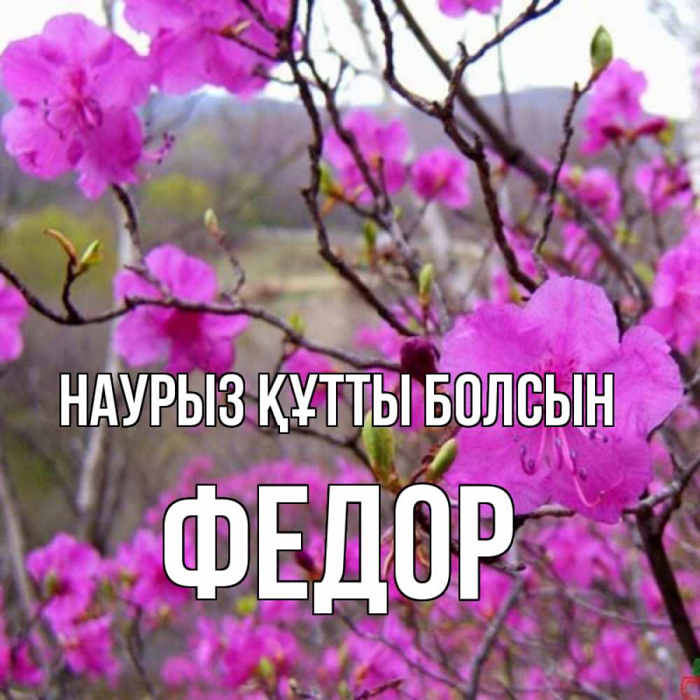 Күн сайын ашық хат с именем, Федор Наурыз құтты болсын наурыз мейрамы кутты болсын Онлайн тегін жүктеп алу тілектері бар керемет карта 