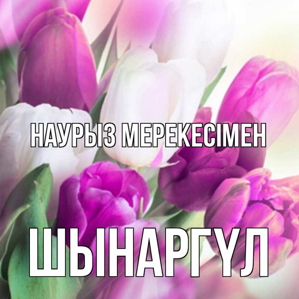 Күн сайын ашық хат с именем, ШЫНАРГҮЛ Наурыз мерекесімен весна 1 Онлайн тегін жүктеп алу тілектері бар керемет карта 