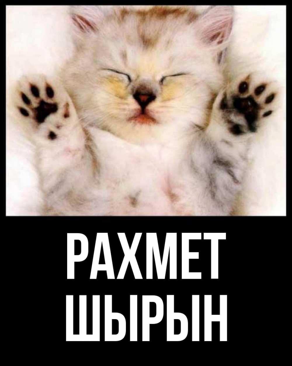 Күн сайын ашық хат с именем, ШЫРЫН рахмет маленький котенок Онлайн тегін жүктеп алу тілектері бар керемет карта 
