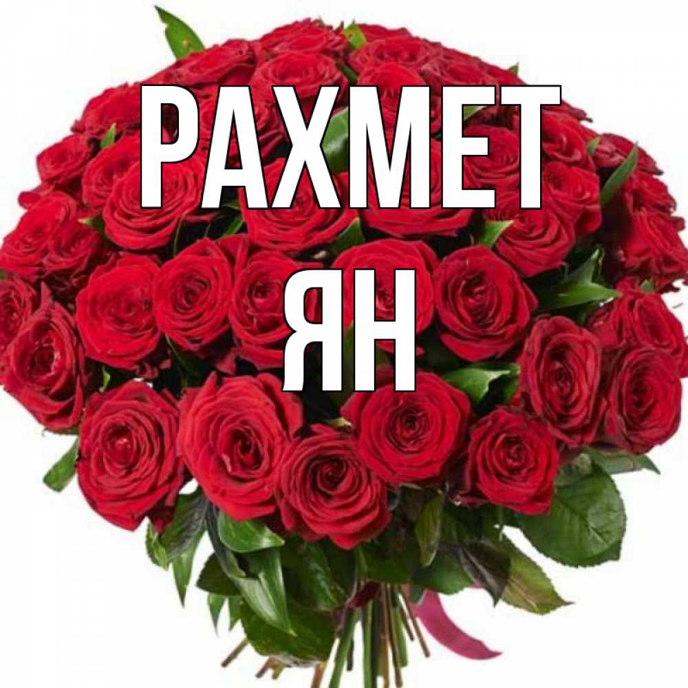 Күн сайын ашық хат с именем, Ян рахмет букет красных роз Онлайн тегін жүктеп алу тілектері бар керемет карта 