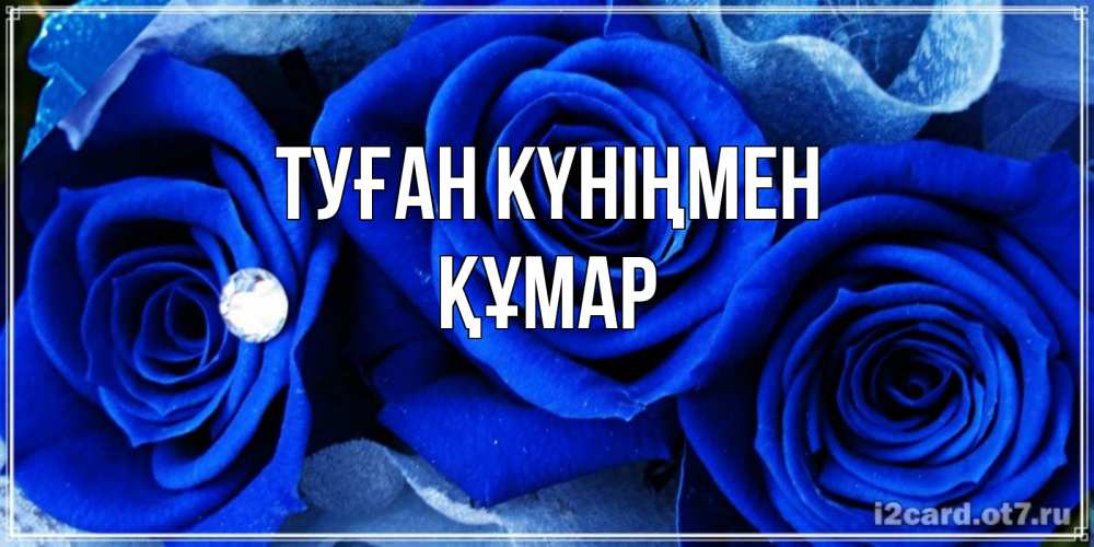 Күн сайын ашық хат с именем, ҚҰМАР Туған күніңмен синие розы в росе Онлайн тегін жүктеп алу тілектері бар керемет карта 