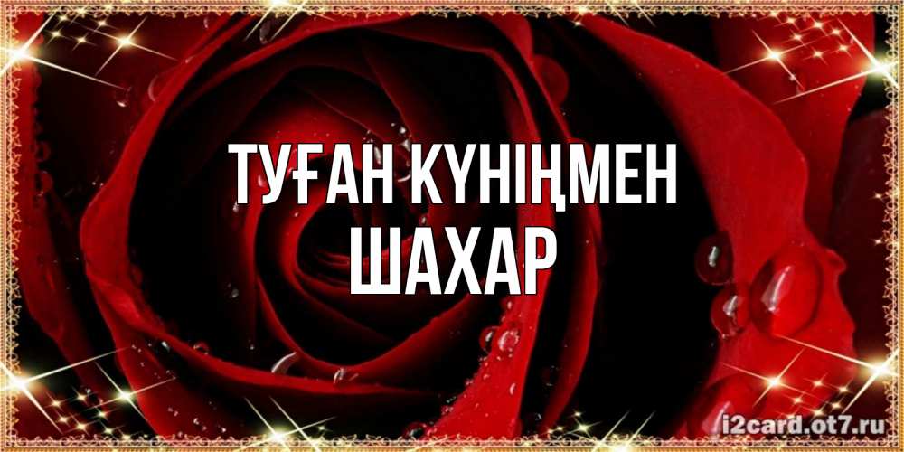Күн сайын ашық хат с именем, ШАХАР Туған күніңмен цветок в росе на день рождения Онлайн тегін жүктеп алу тілектері бар керемет карта 