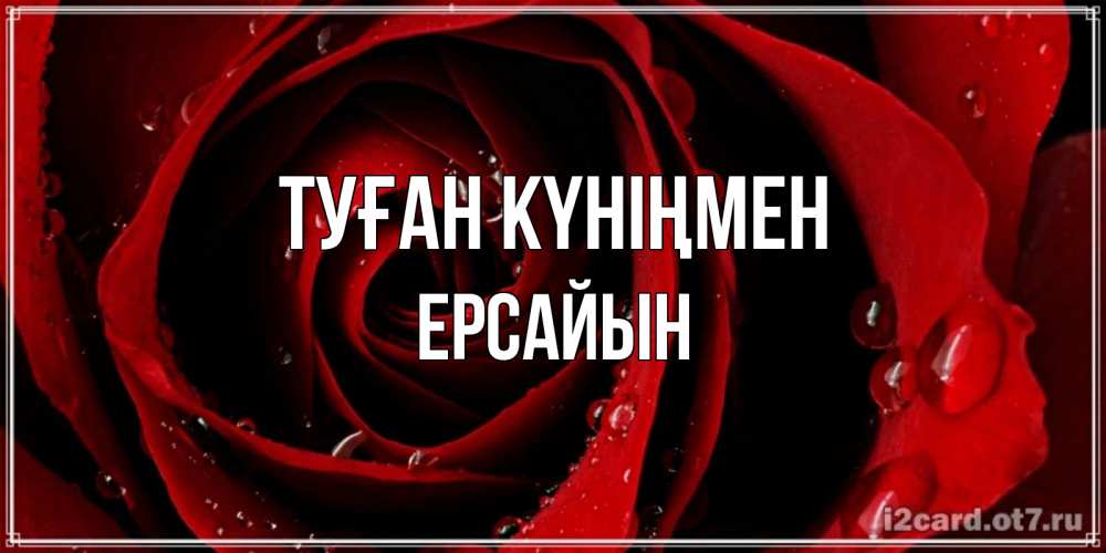 Күн сайын ашық хат с именем, Ерсайын Туған күніңмен крупная бордовая роза Онлайн тегін жүктеп алу тілектері бар керемет карта 