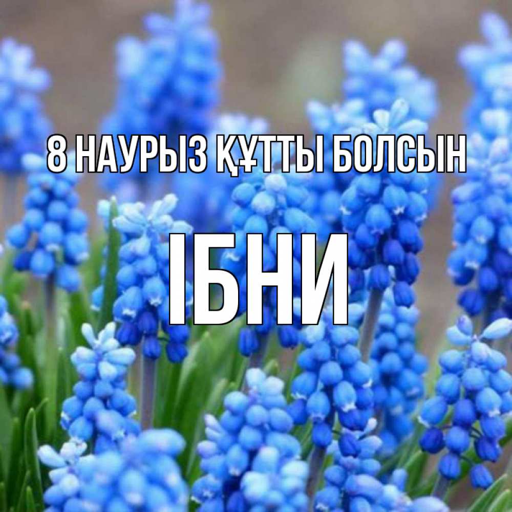 Күн сайын ашық хат с именем, ІБНИ 8 наурыз құтты болсын Поздравительная открытка для женщин с цветами на праздничную дату Онлайн тегін жүктеп алу тілектері бар керемет карта 