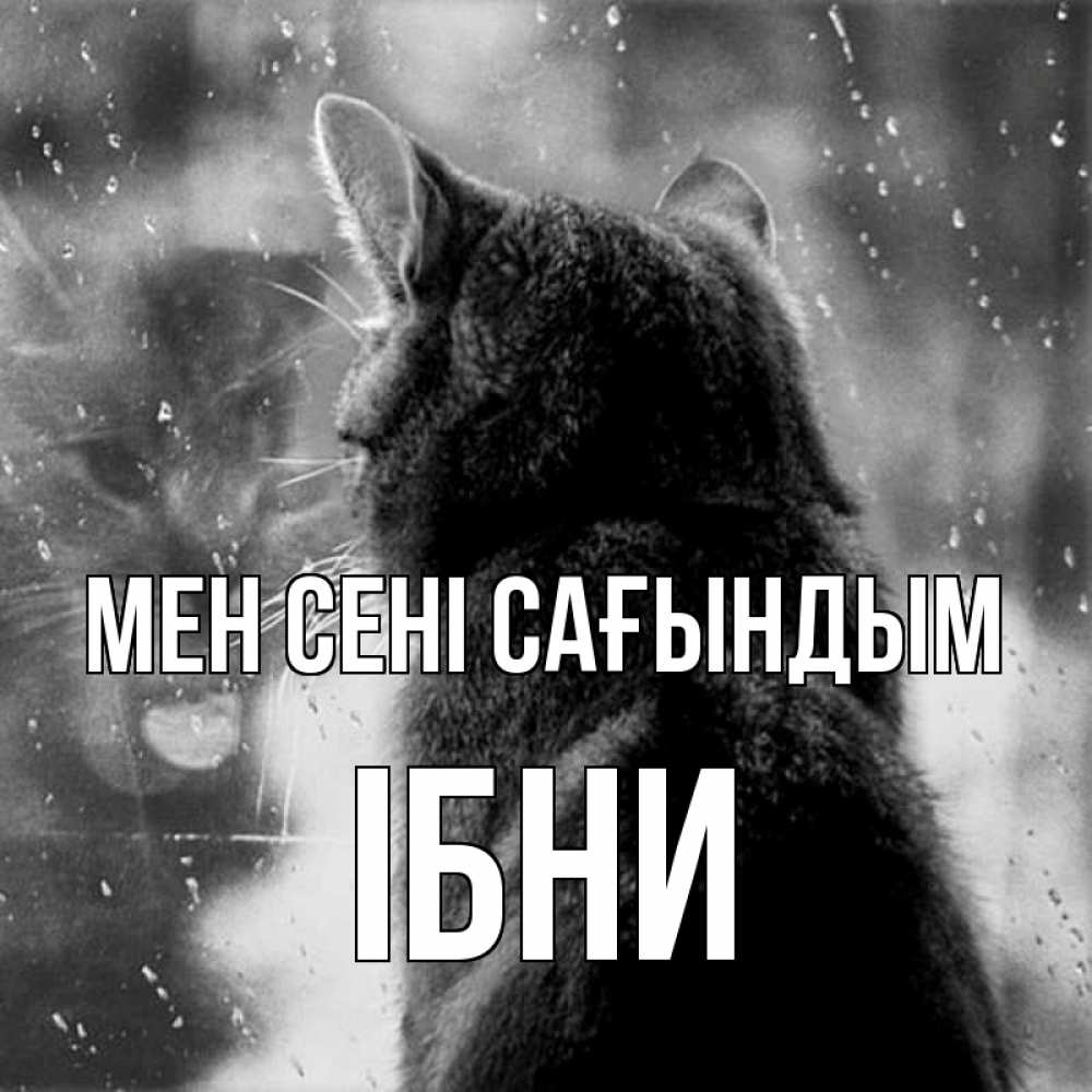 Күн сайын ашық хат с именем, ІБНИ Мен сені сағындым скорее ко мне приходи 1 Онлайн тегін жүктеп алу тілектері бар керемет карта 