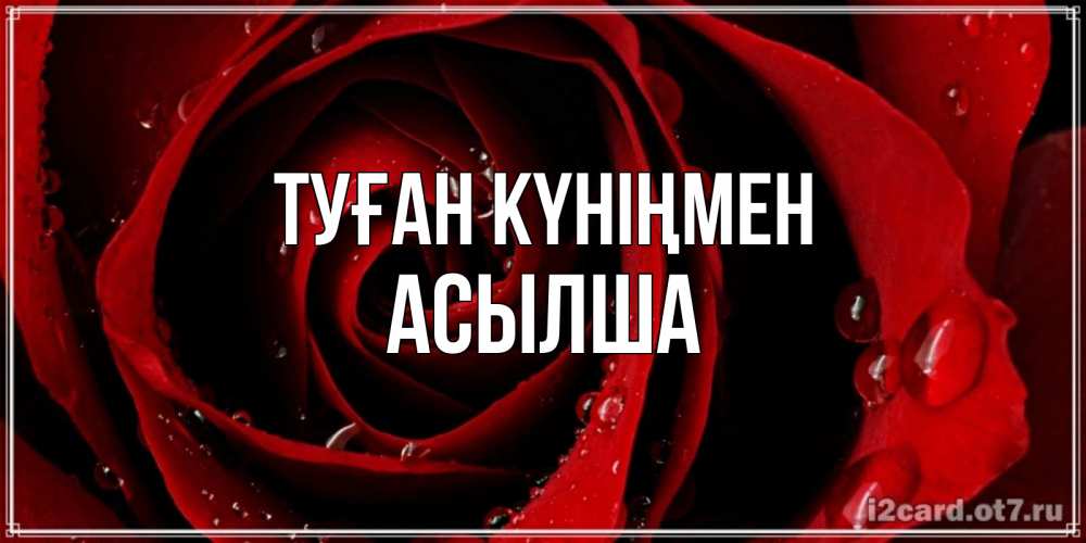 Күн сайын ашық хат с именем, АСЫЛША Туған күніңмен крупная бордовая роза Онлайн тегін жүктеп алу тілектері бар керемет карта 