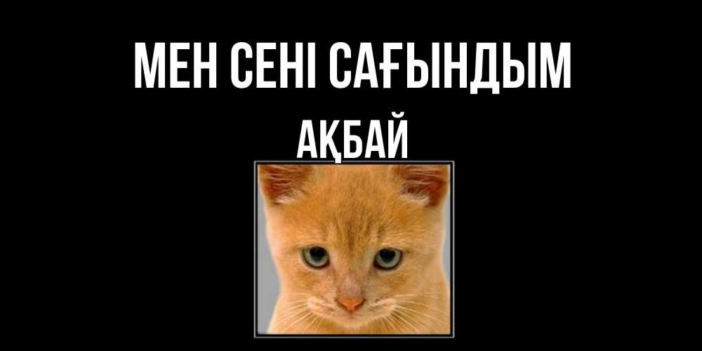 Күн сайын ашық хат с именем, Ақбай Мен сені сағындым открытки рыжий котенок скучает по тебе Онлайн тегін жүктеп алу тілектері бар керемет карта 