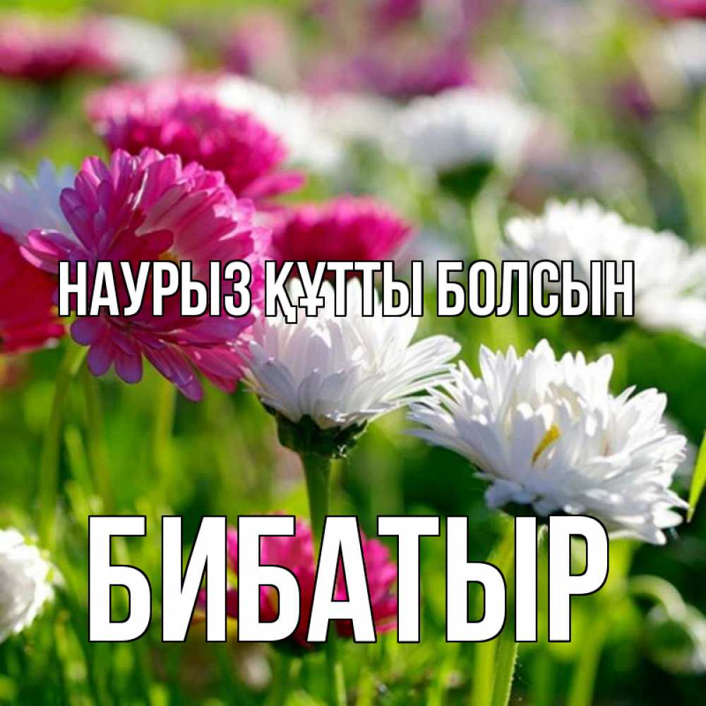 Күн сайын ашық хат с именем, Бибатыр Наурыз құтты болсын наурыз Онлайн тегін жүктеп алу тілектері бар керемет карта 