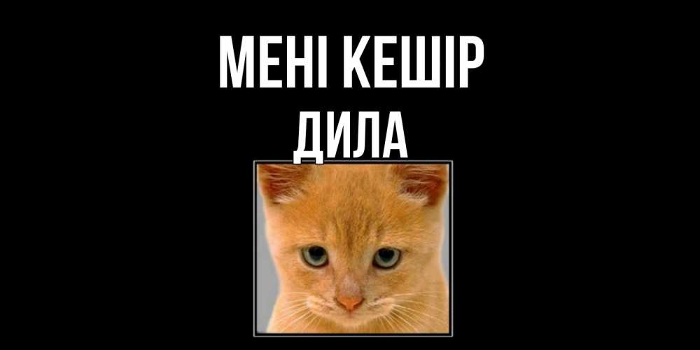 Күн сайын ашық хат с именем, ДИЛА Мені кешір рыжий грустный кот просит прощения Онлайн тегін жүктеп алу тілектері бар керемет карта 