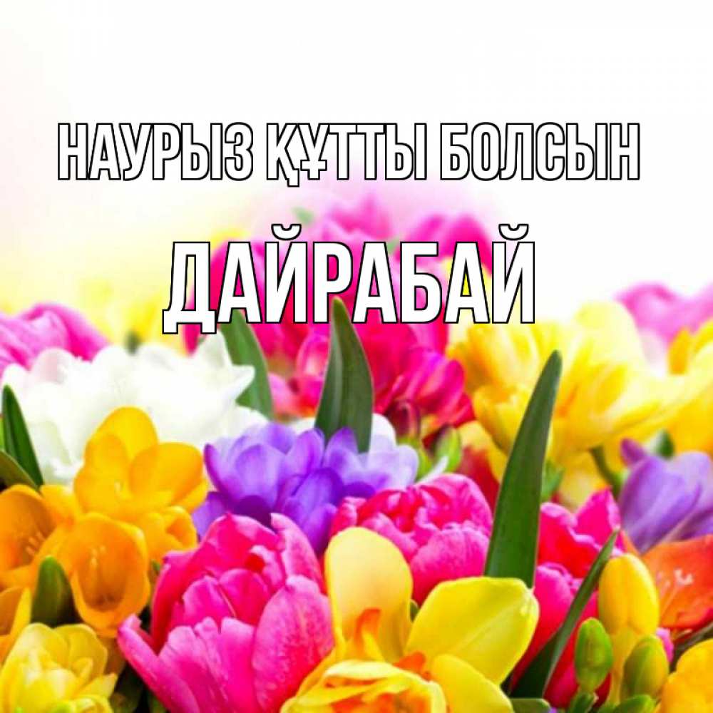 Күн сайын ашық хат с именем, Дайрабай Наурыз құтты болсын тюльпаны Онлайн тегін жүктеп алу тілектері бар керемет карта 
