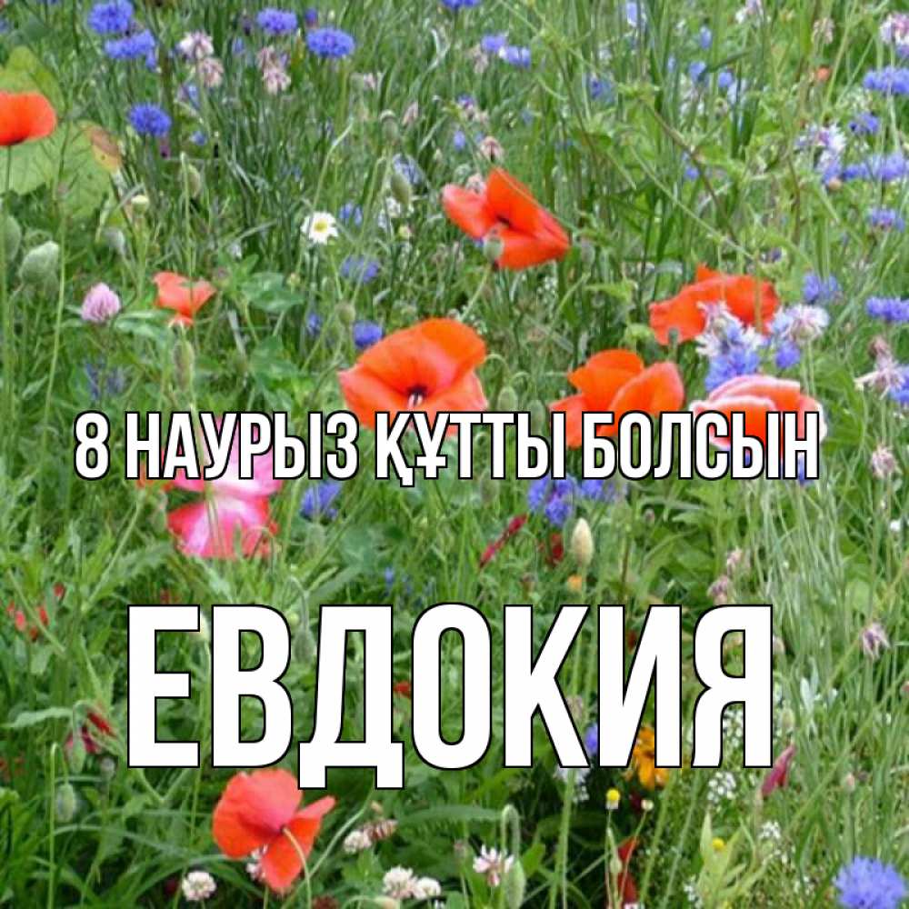 Күн сайын ашық хат с именем, Евдокия 8 наурыз құтты болсын международный женский день 4 Онлайн тегін жүктеп алу тілектері бар керемет карта 