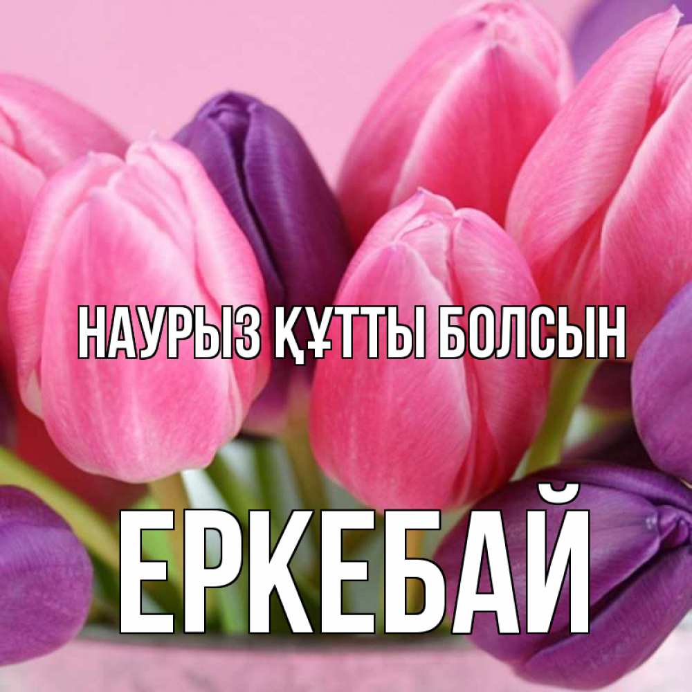 Күн сайын ашық хат с именем, Еркебай Наурыз құтты болсын маме 1 Онлайн тегін жүктеп алу тілектері бар керемет карта 