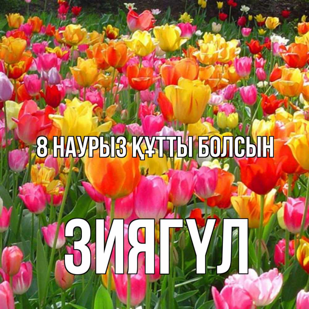 Күн сайын ашық хат с именем, ЗИЯГҮЛ 8 наурыз құтты болсын на международный женский день Онлайн тегін жүктеп алу тілектері бар керемет карта 