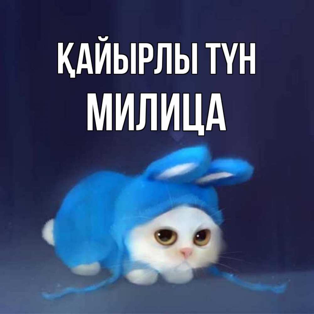 Күн сайын ашық хат с именем, Милица Қайырлы түн кот в голубом костюме кролика с ушками Онлайн тегін жүктеп алу тілектері бар керемет карта 