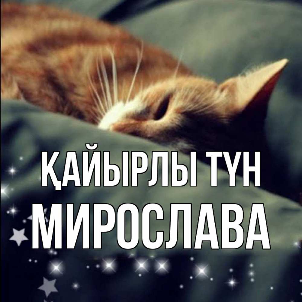 Күн сайын ашық хат с именем, Мирослава Қайырлы түн кроватка Онлайн тегін жүктеп алу тілектері бар керемет карта 