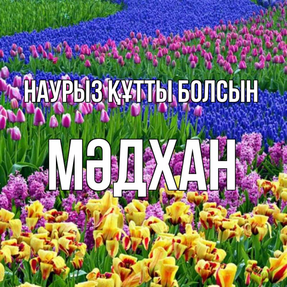Күн сайын ашық хат с именем, МӘДХАН Наурыз құтты болсын цветы Онлайн тегін жүктеп алу тілектері бар керемет карта 