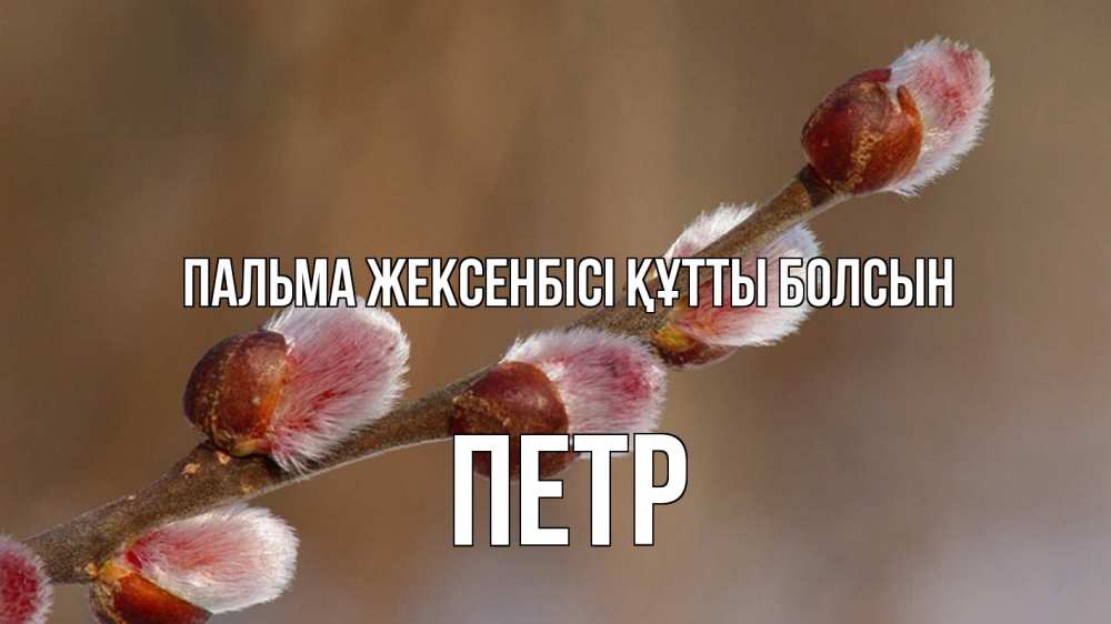 Күн сайын ашық хат с именем, Петр Пальма жексенбісі құтты болсын верба Онлайн тегін жүктеп алу тілектері бар керемет карта 