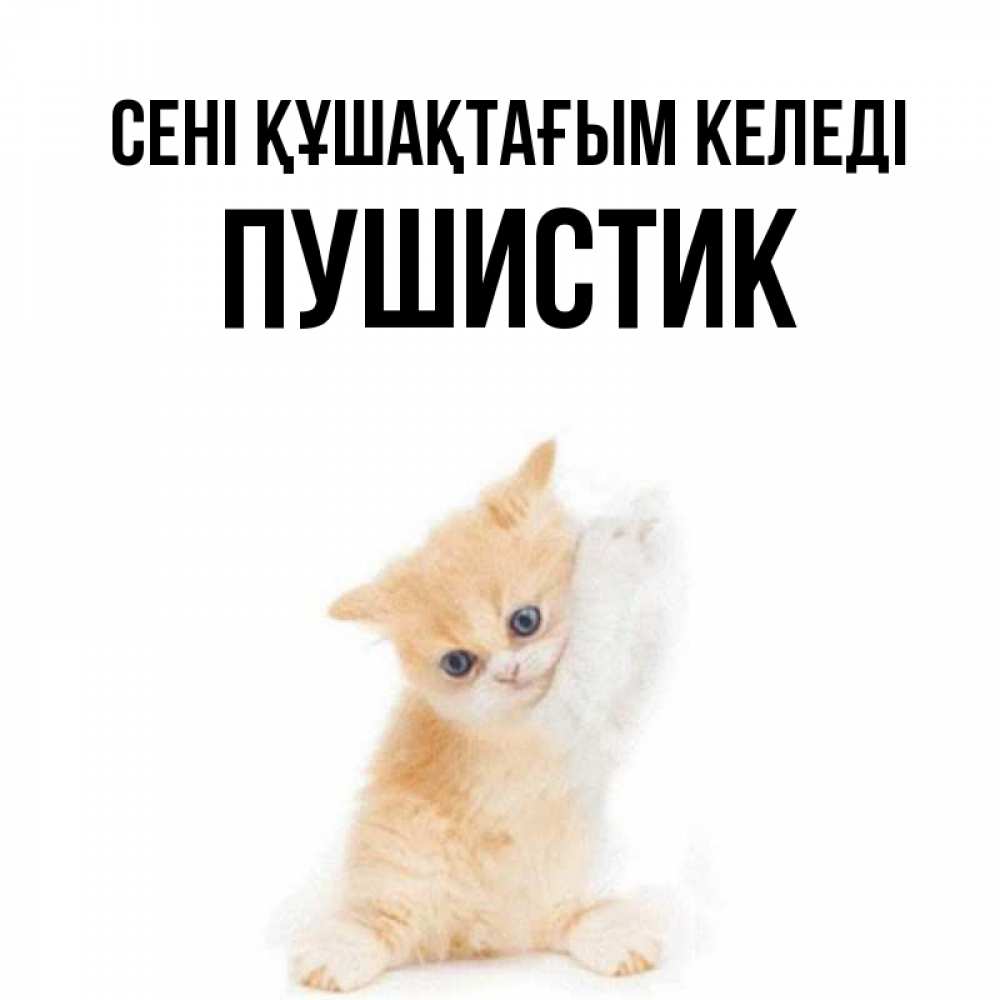 Күн сайын ашық хат с именем, Пушистик сені құшақтағым келеді я хочу очень скорее обнимаешек Онлайн тегін жүктеп алу тілектері бар керемет карта 