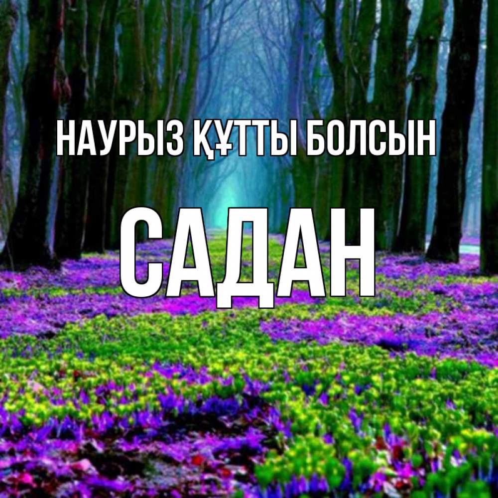 Күн сайын ашық хат с именем, САДАН Наурыз құтты болсын фиолетовые цветы в лесу 1 Онлайн тегін жүктеп алу тілектері бар керемет карта 