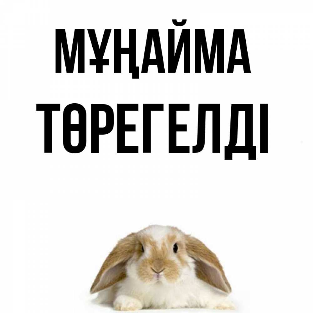 Күн сайын ашық хат с именем, Төрегелді Мұңайма коричнево белый заяц с большими ушками Онлайн тегін жүктеп алу тілектері бар керемет карта 