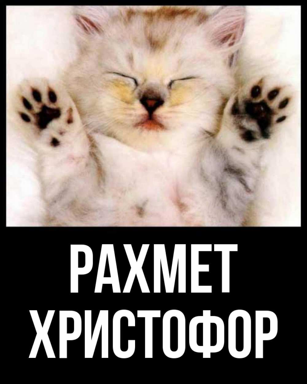 Күн сайын ашық хат с именем, Христофор рахмет маленький котенок Онлайн тегін жүктеп алу тілектері бар керемет карта 