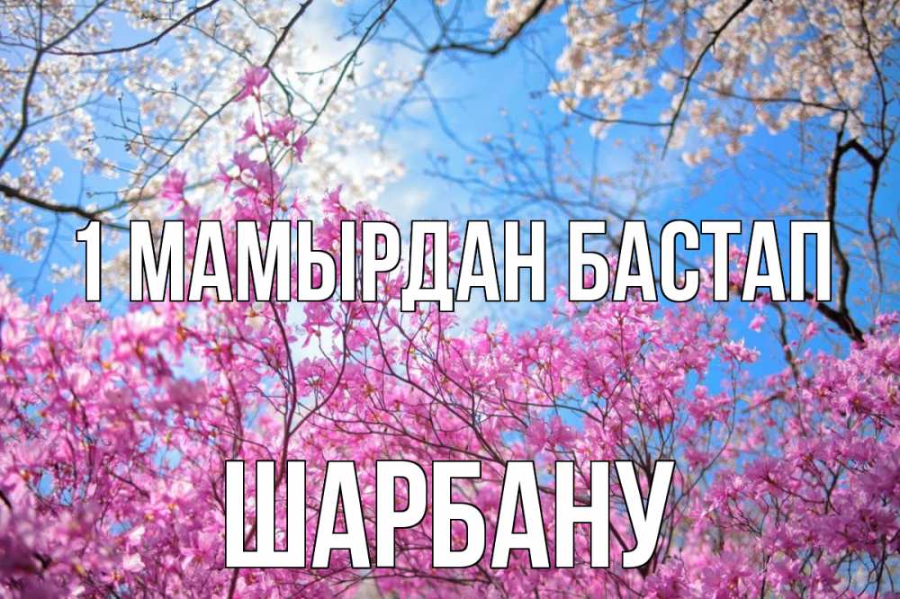 Күн сайын ашық хат с именем, ШАРБАНУ 1 мамырдан бастап С 1 мая Онлайн тегін жүктеп алу тілектері бар керемет карта 