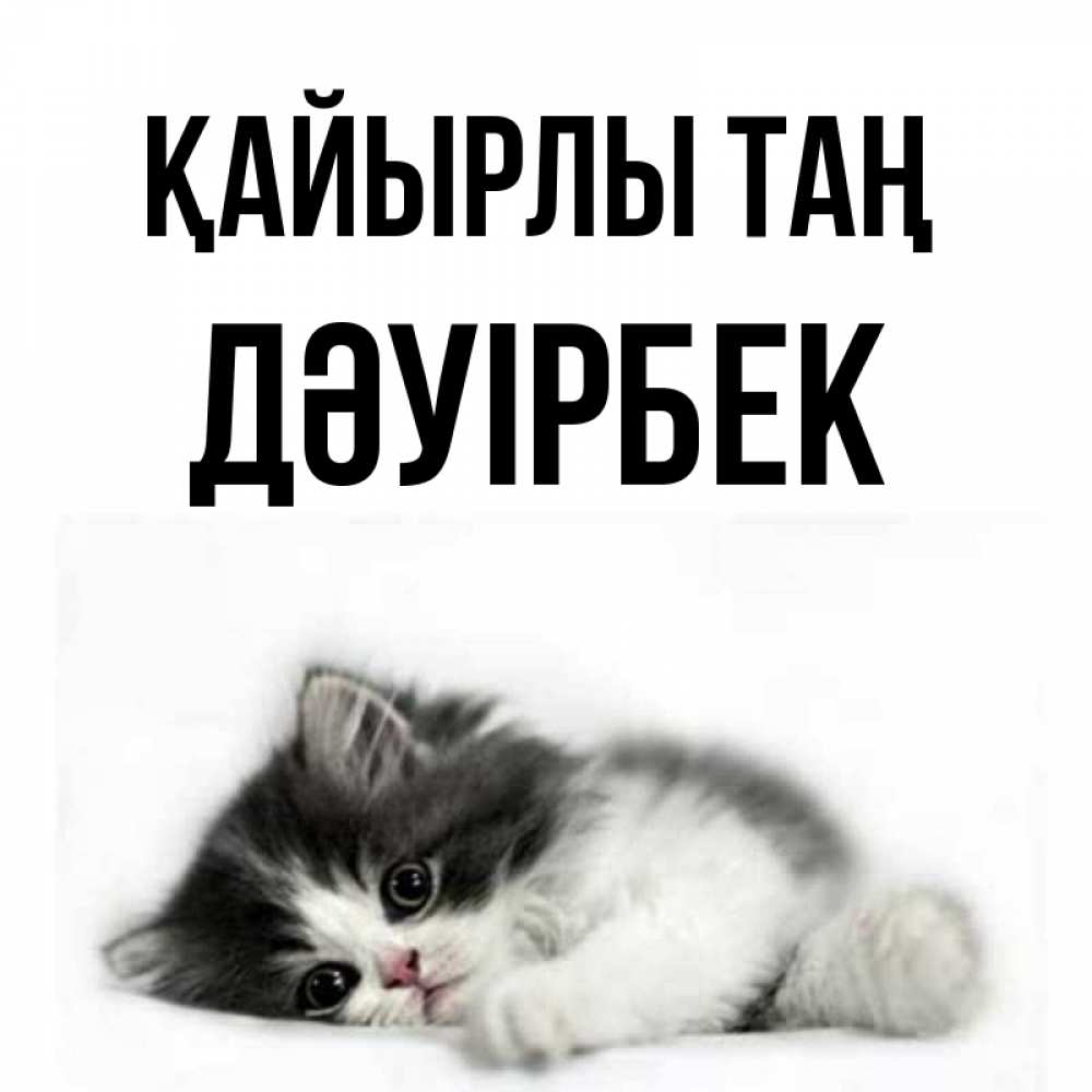 Күн сайын ашық хат с именем, Дәуірбек Қайырлы таң кот лапки Онлайн тегін жүктеп алу тілектері бар керемет карта 