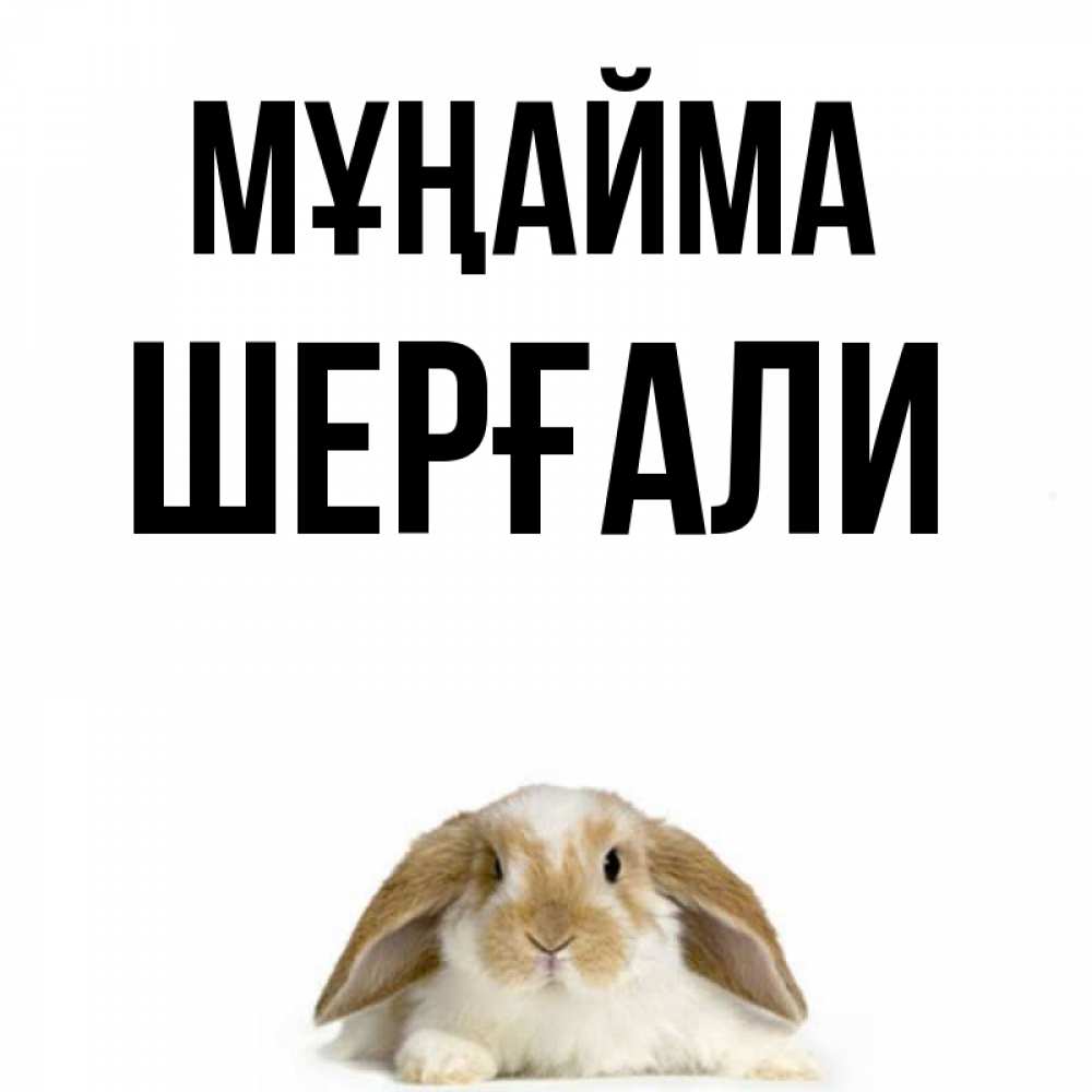 Күн сайын ашық хат с именем, ШЕРҒАЛИ Мұңайма коричнево белый заяц с большими ушками Онлайн тегін жүктеп алу тілектері бар керемет карта 