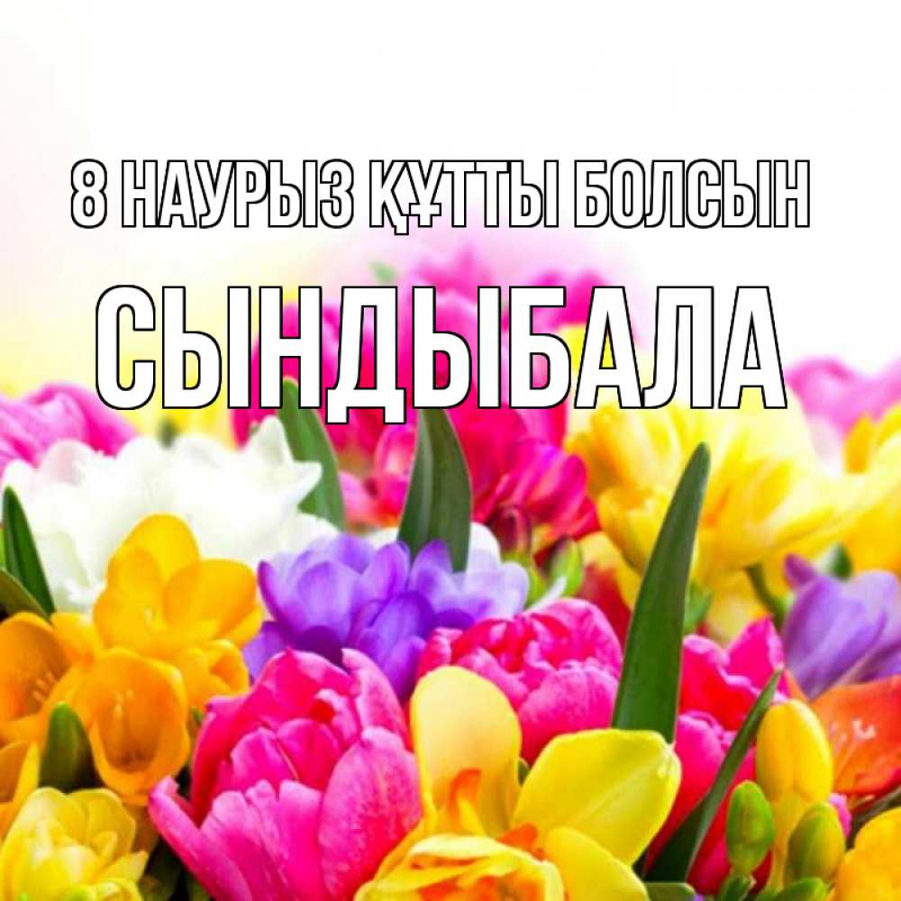 Күн сайын ашық хат с именем, СЫНДЫБАЛА 8 наурыз құтты болсын тюльпаны Онлайн тегін жүктеп алу тілектері бар керемет карта 