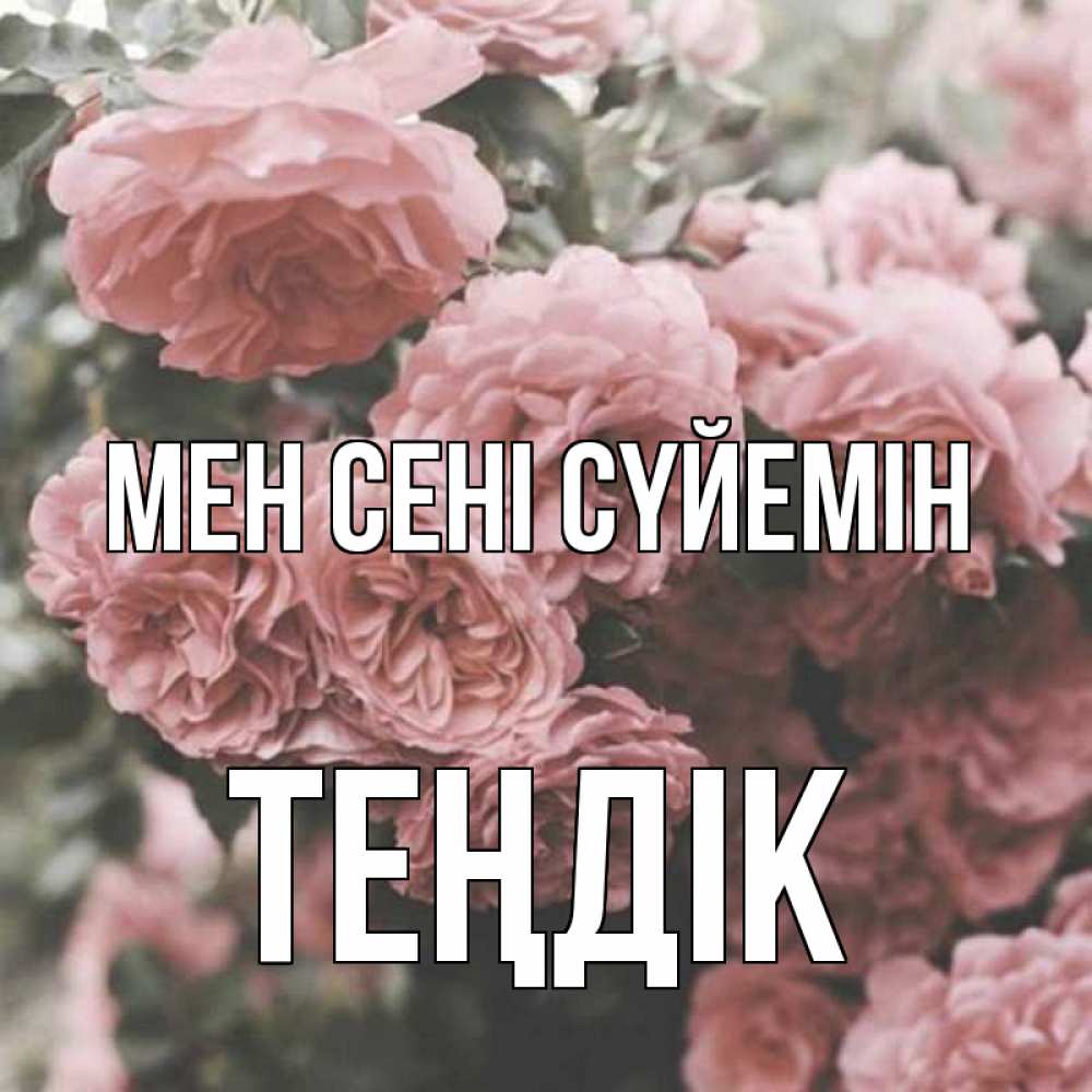 Күн сайын ашық хат с именем, ТЕҢДІК Мен сені сүйемін розы 3 Онлайн тегін жүктеп алу тілектері бар керемет карта 