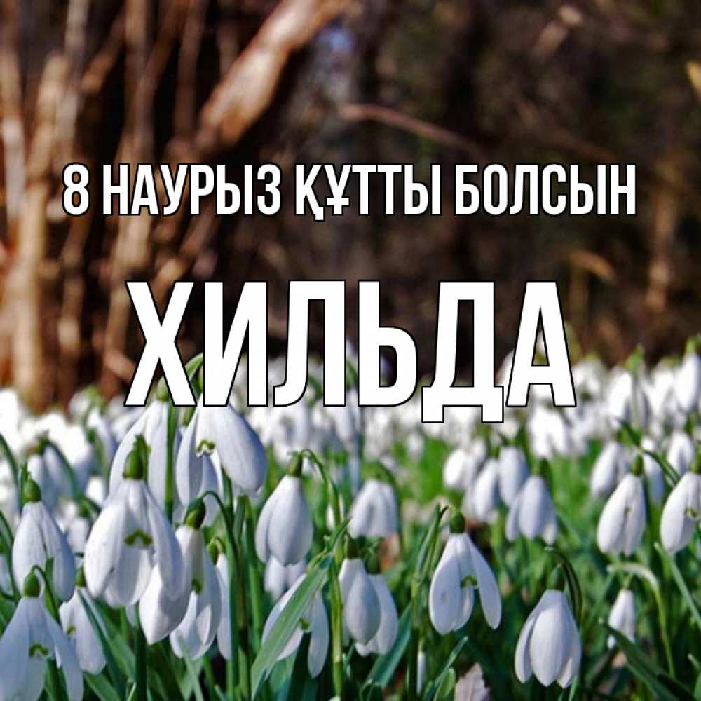 Күн сайын ашық хат с именем, Хильда 8 наурыз құтты болсын с подснежниками 1 Онлайн тегін жүктеп алу тілектері бар керемет карта 