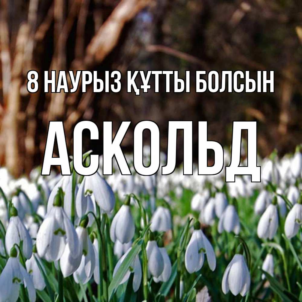 Күн сайын ашық хат с именем, Аскольд 8 наурыз құтты болсын с подснежниками 1 Онлайн тегін жүктеп алу тілектері бар керемет карта 