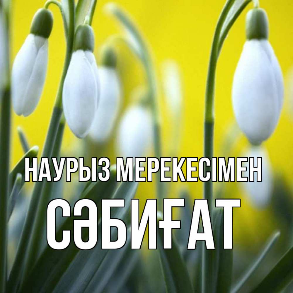 Күн сайын ашық хат с именем, СӘБИҒАТ Наурыз мерекесімен весенние цветы Онлайн тегін жүктеп алу тілектері бар керемет карта 