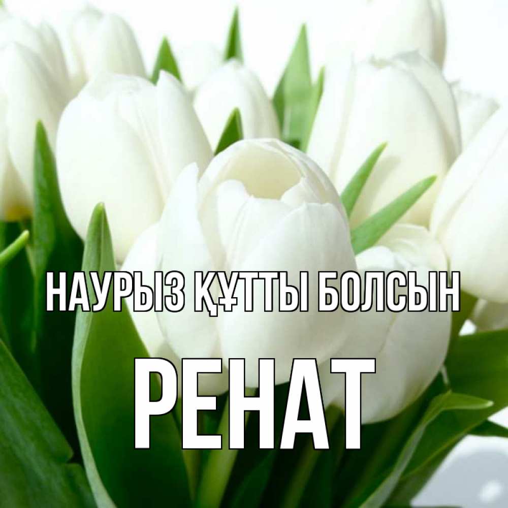 Күн сайын ашық хат с именем, РЕНАТ Наурыз құтты болсын цветы Онлайн тегін жүктеп алу тілектері бар керемет карта 
