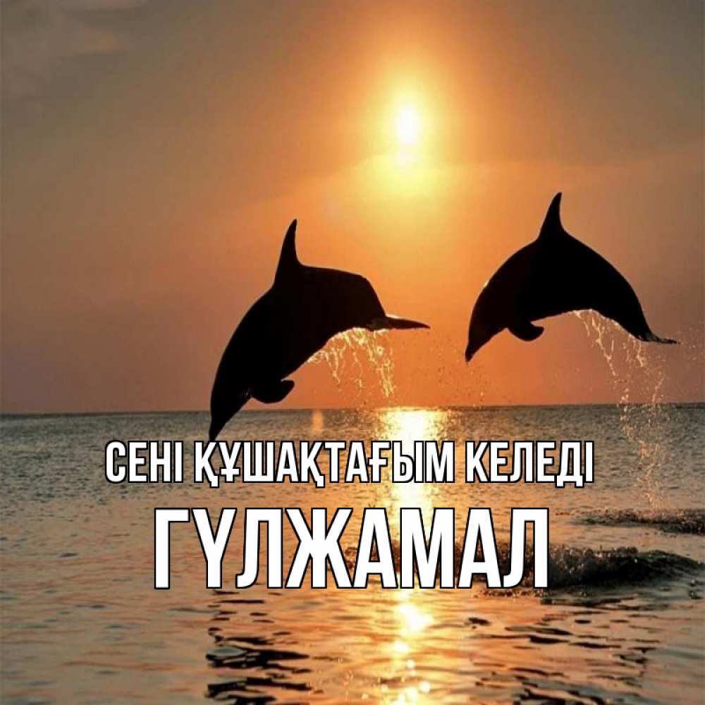 Күн сайын ашық хат с именем, ГҮЛЖАМАЛ сені құшақтағым келеді рыбы на закате Онлайн тегін жүктеп алу тілектері бар керемет карта 