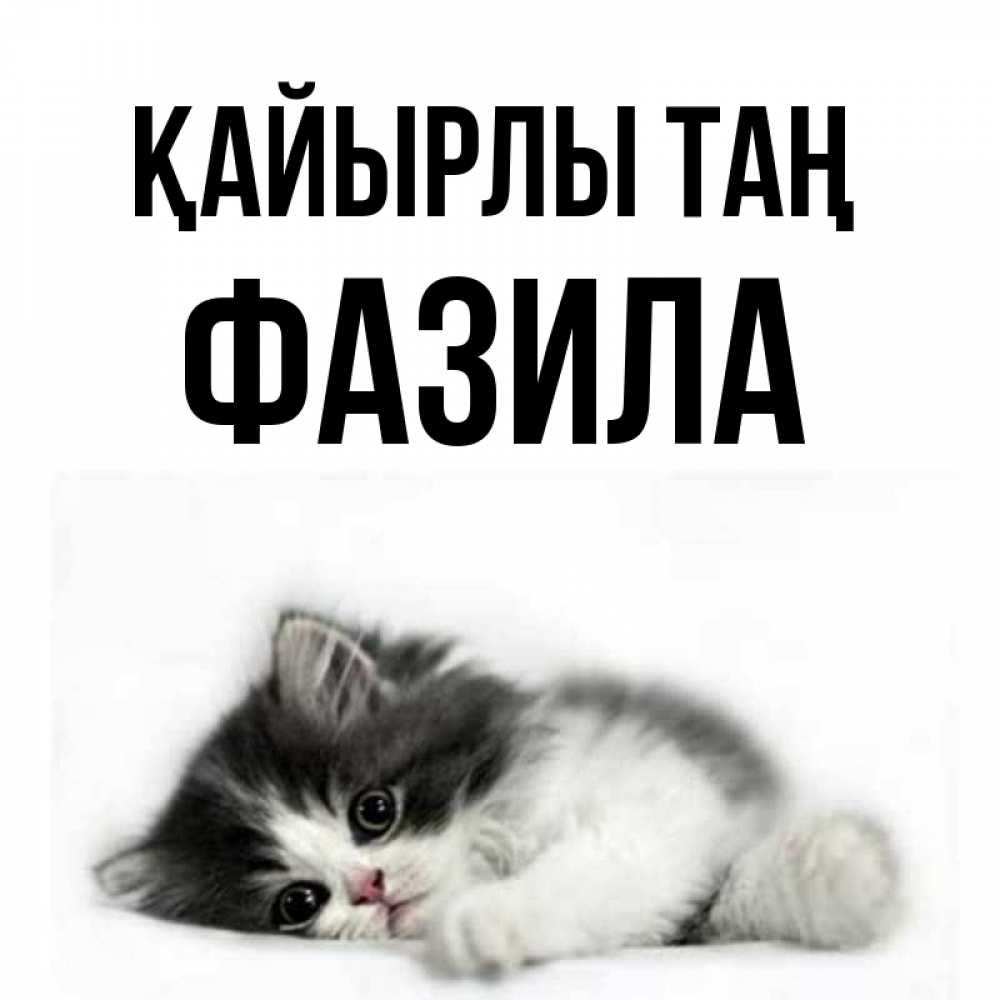 Күн сайын ашық хат с именем, ФАЗИЛА Қайырлы таң кот лапки Онлайн тегін жүктеп алу тілектері бар керемет карта 