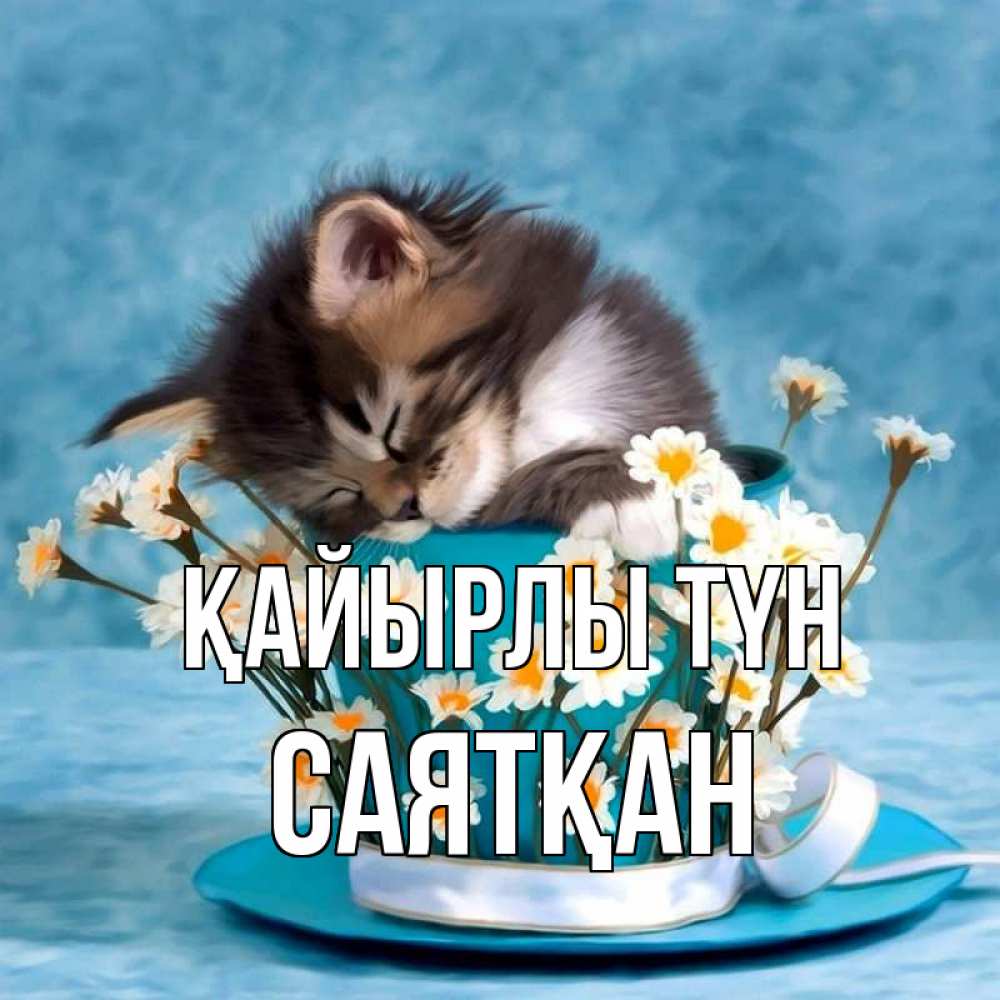 Күн сайын ашық хат с именем, САЯТҚАН Қайырлы түн котенок спит в кружке с блюдцем Онлайн тегін жүктеп алу тілектері бар керемет карта 