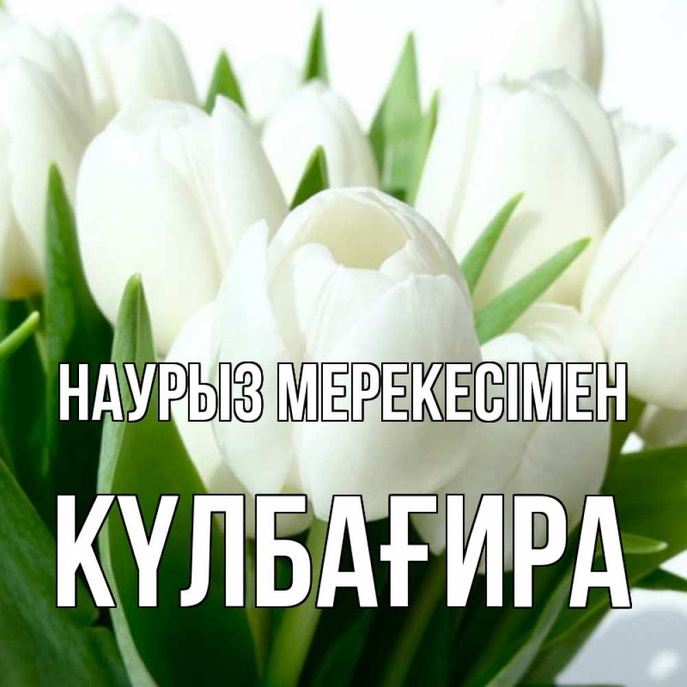 Күн сайын ашық хат с именем, КҮЛБАҒИРА Наурыз мерекесімен цветы Онлайн тегін жүктеп алу тілектері бар керемет карта 