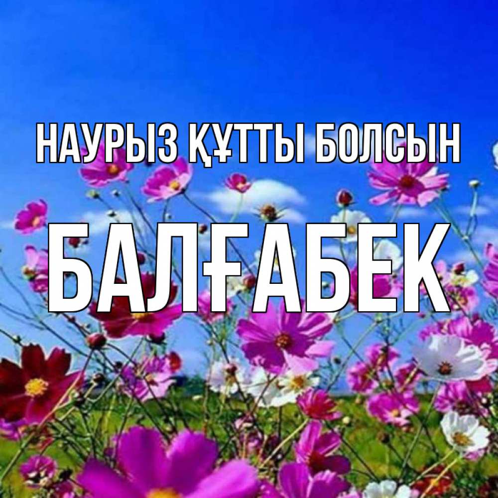 Күн сайын ашық хат с именем, Балғабек Наурыз құтты болсын цветы Онлайн тегін жүктеп алу тілектері бар керемет карта 