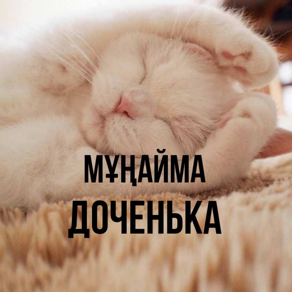Күн сайын ашық хат с именем, Доченька Мұңайма Котенок спит Онлайн тегін жүктеп алу тілектері бар керемет карта 