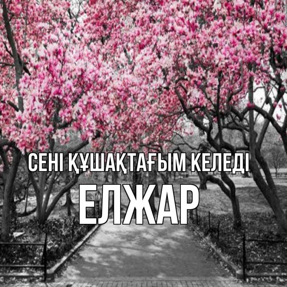 Күн сайын ашық хат с именем, Елжар сені құшақтағым келеді обработанное фото Онлайн тегін жүктеп алу тілектері бар керемет карта 