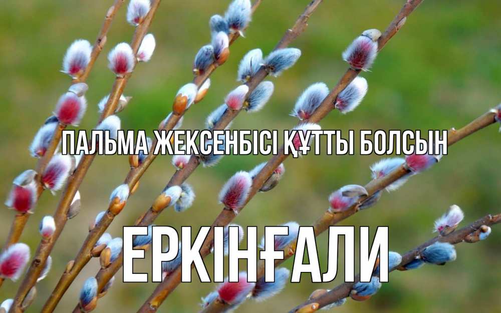 Күн сайын ашық хат с именем, Еркінғали Пальма жексенбісі құтты болсын верба Онлайн тегін жүктеп алу тілектері бар керемет карта 