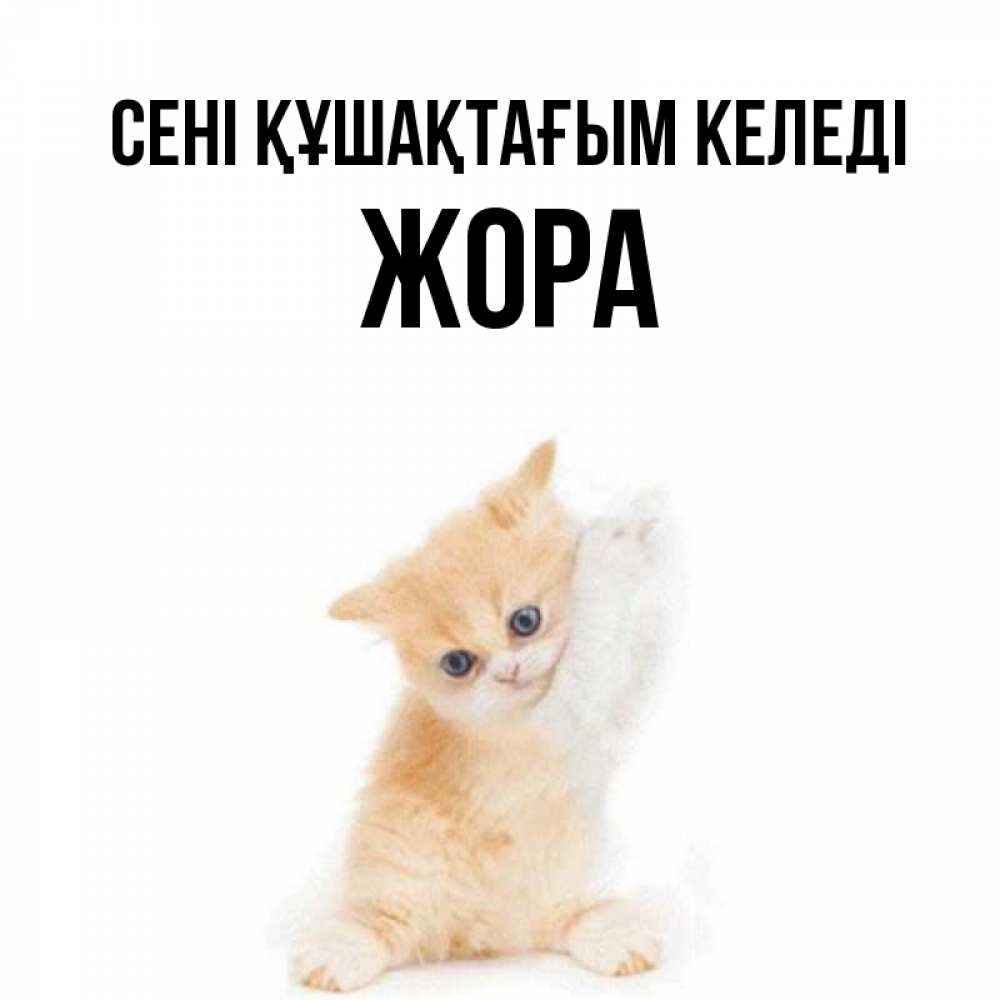 Күн сайын ашық хат с именем, Жора сені құшақтағым келеді я хочу очень скорее обнимаешек Онлайн тегін жүктеп алу тілектері бар керемет карта 