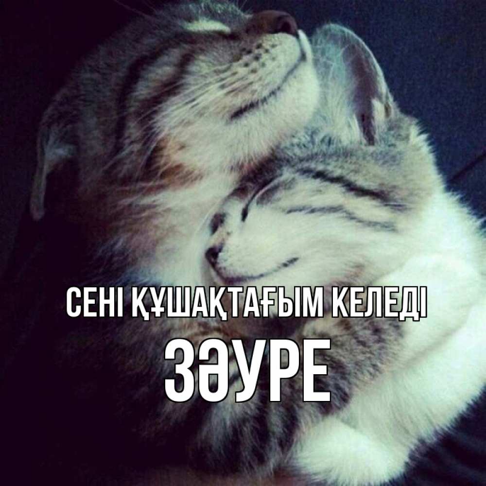 Күн сайын ашық хат с именем, ЗӘУРЕ сені құшақтағым келеді полосатики Онлайн тегін жүктеп алу тілектері бар керемет карта 