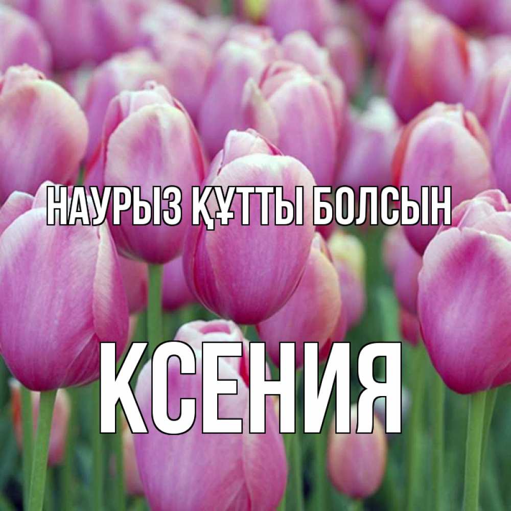 Күн сайын ашық хат с именем, Ксения Наурыз құтты болсын на наурыз  день 3 Онлайн тегін жүктеп алу тілектері бар керемет карта 