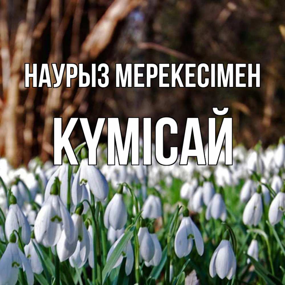 Күн сайын ашық хат с именем, КҮМІСАЙ Наурыз мерекесімен с подснежниками 1 Онлайн тегін жүктеп алу тілектері бар керемет карта 