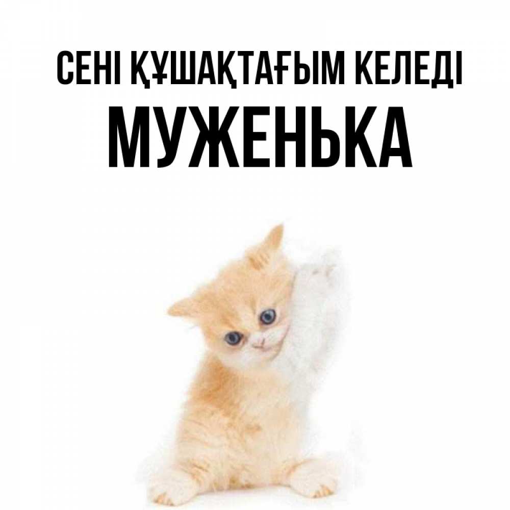 Күн сайын ашық хат с именем, Муженька сені құшақтағым келеді я хочу очень скорее обнимаешек Онлайн тегін жүктеп алу тілектері бар керемет карта 