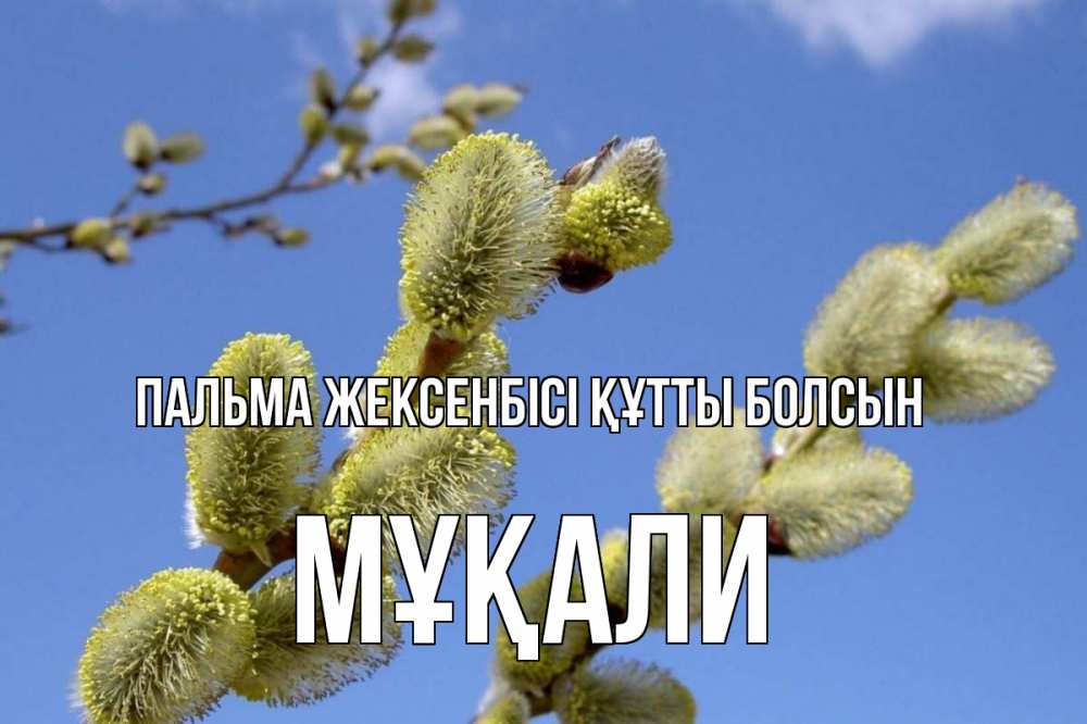 Күн сайын ашық хат с именем, МҰҚАЛИ Пальма жексенбісі құтты болсын верба Онлайн тегін жүктеп алу тілектері бар керемет карта 